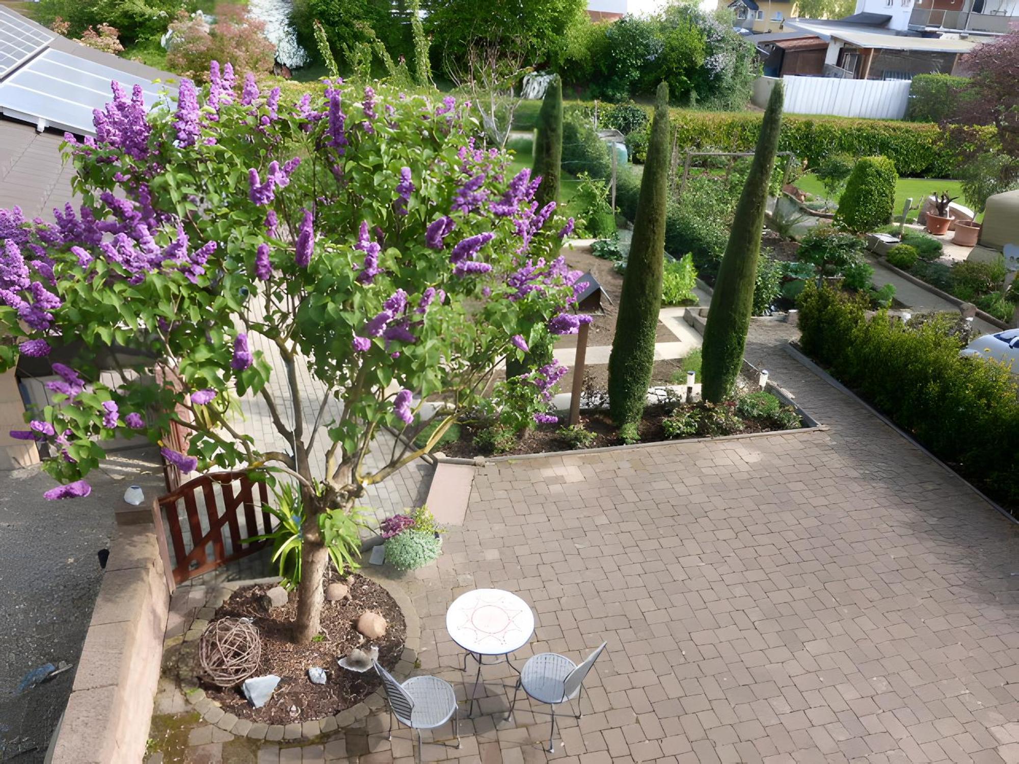 Ferienwohnung Schillinger Sasbach am Kaiserstuhl Εξωτερικό φωτογραφία